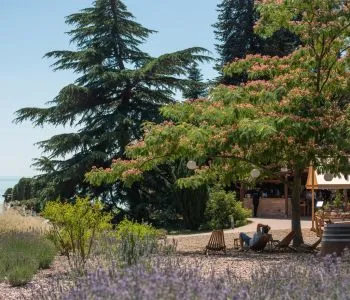 A Folly Arborétum Magyarország egyetlen magánkézben lévő arborétuma