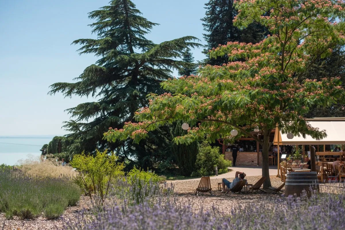 A Folly Arborétum Magyarország egyetlen magánkézben lévő arborétuma