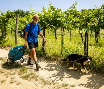 A 75 éves Feri bácsi és Forint kutya kalandjai a Kéktúrán