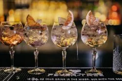 Hűsítő italok egy dzsungelben vagy a Duna mellett – gin tonic-lelőhelyek Budapesten