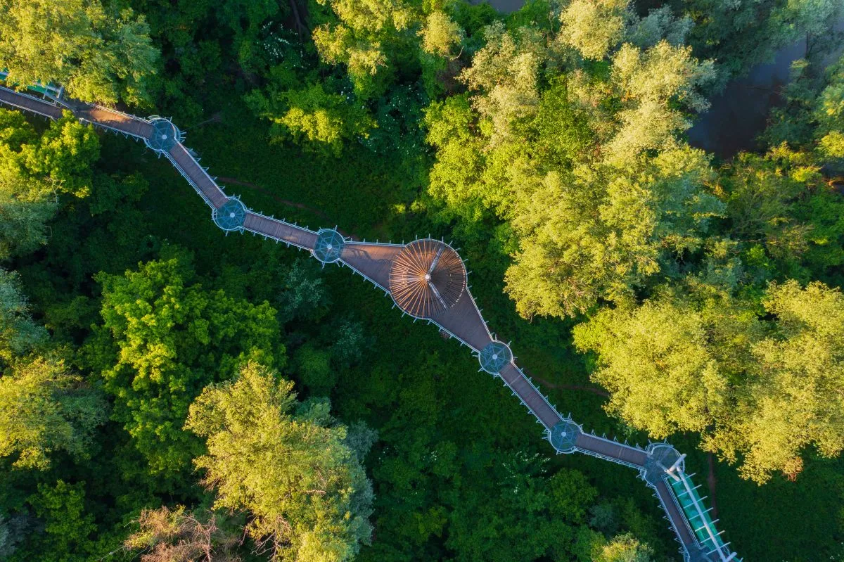 10 varázslatos lombkorona sétány Magyarországon - makói lombkorona sétány