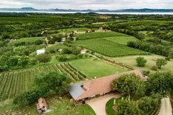 7 balatoni pincészet, ahol a fenséges nedű mellé mennyei panoráma dukál