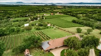 7 balatoni pincészet, ahol a fenséges nedű mellé mennyei panoráma dukál