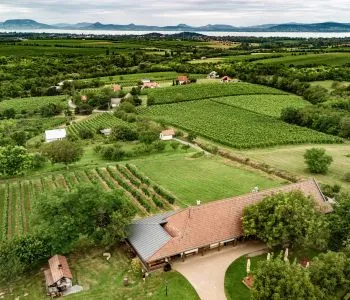 7 balatoni pincészet, ahol a fenséges nedű mellé mennyei panoráma dukál