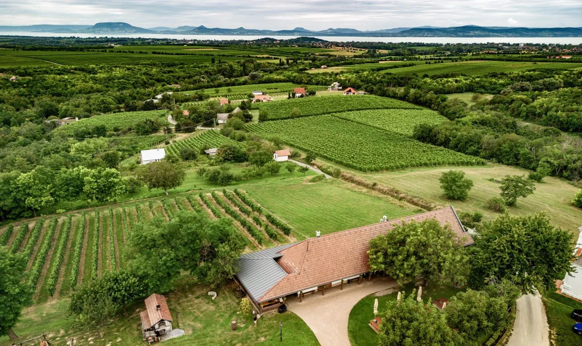 7 balatoni pincészet, ahol a fenséges nedű mellé mennyei panoráma dukál