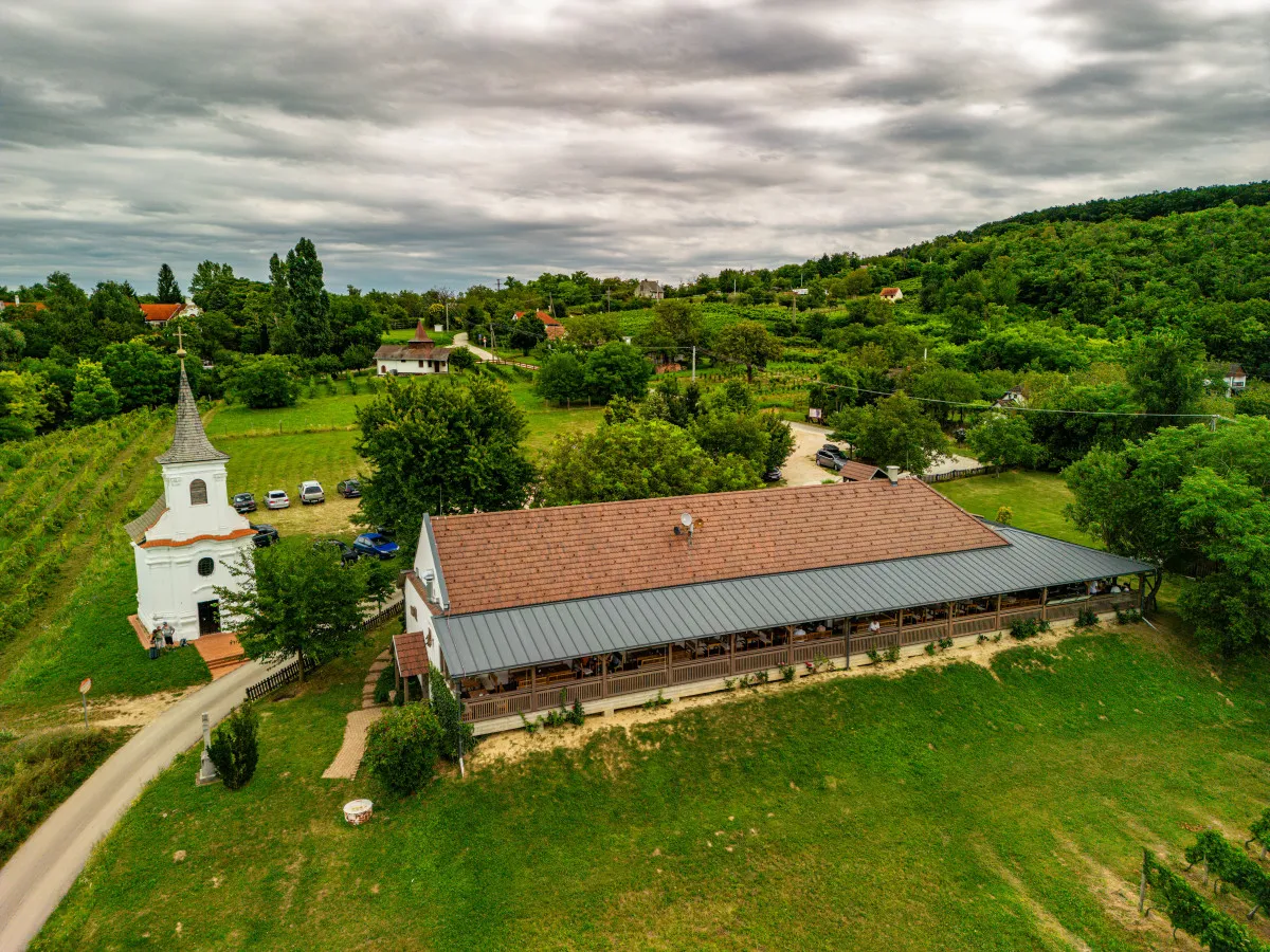 7 balatoni pincészet mesés panorámával - Fotó: Majthényi Présház