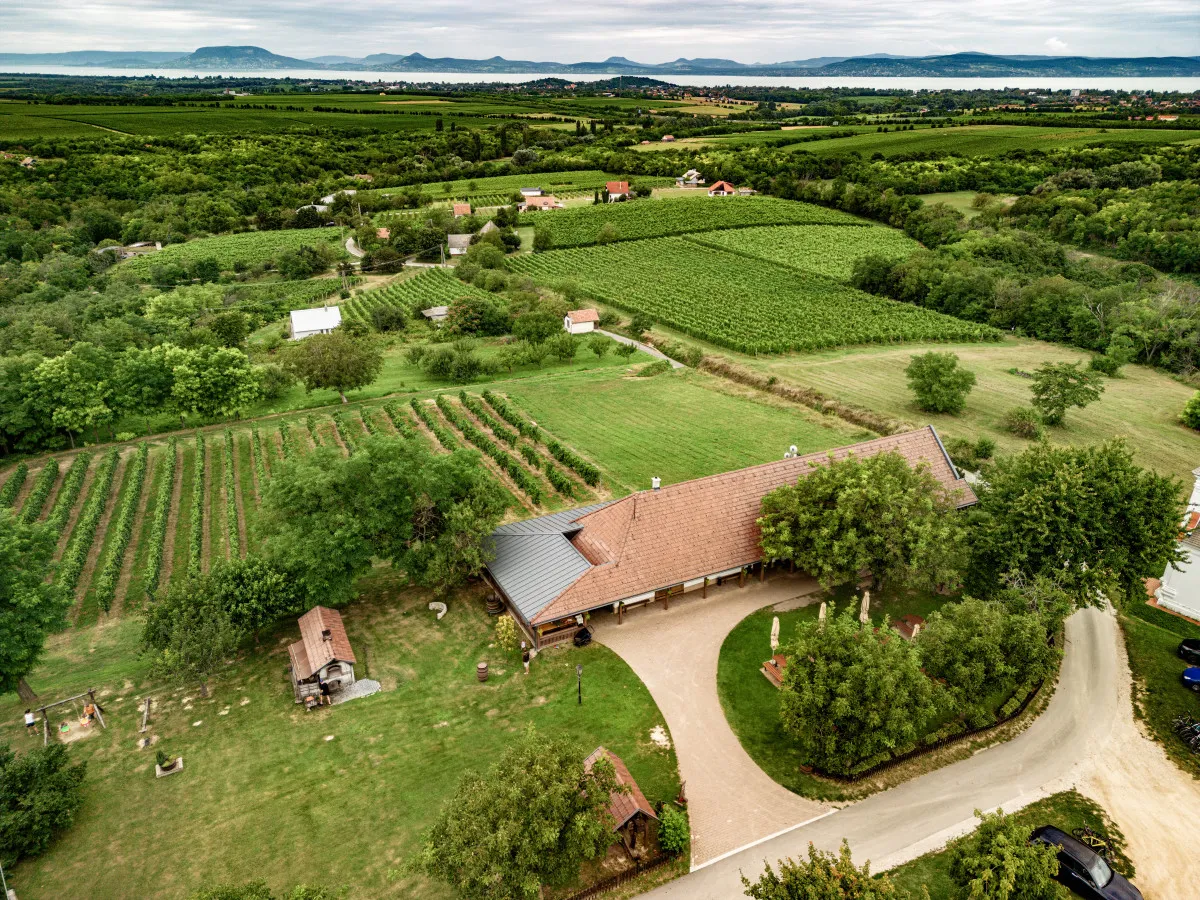 7 balatoni pincészet mesés panorámával - Fotó: Majthényi Présház