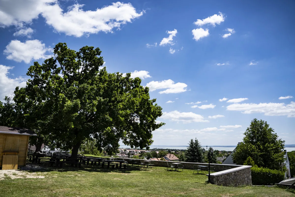 7 balatoni pincészet mesés panorámával - Fotó: Figula Pincészet