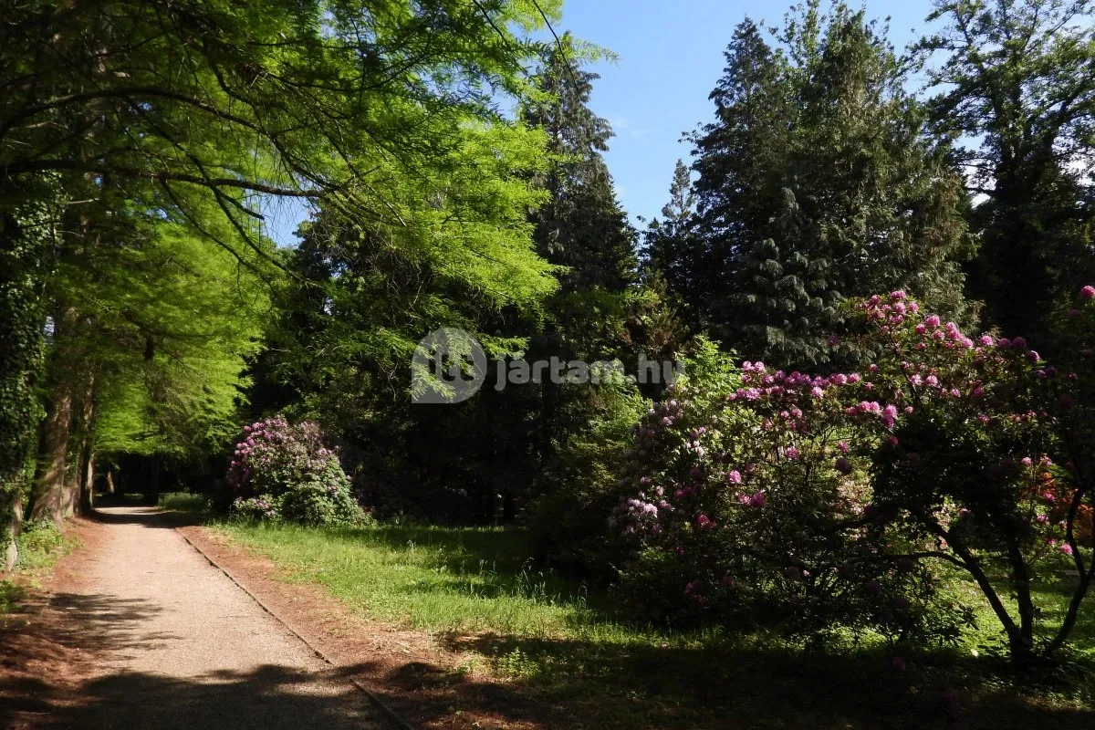 8 szombathelyi nevezetesség a tökéletes városnéző kiránduláshoz - Kámoni Arborétum és Ökoturisztikai Központ/ Fotó: ittjartam.hu