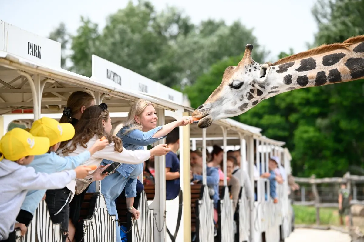 Állatkertek Éjszakája a Richter Safari Parkban/ Fotó: Richter Safari Park