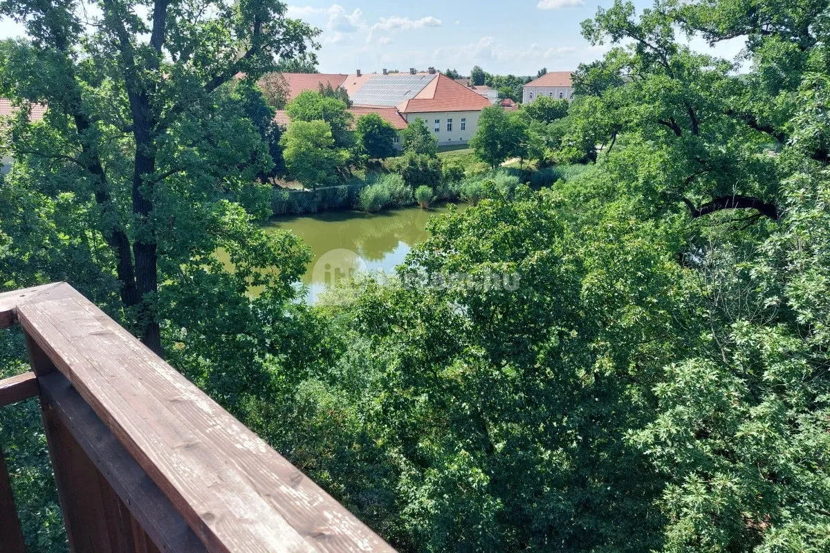 Izgalmas látnivalók Dél-Alföldön - Erzsébet Ligeti Lombkorona Sétány és Kilátó (Gyomaendrőd)