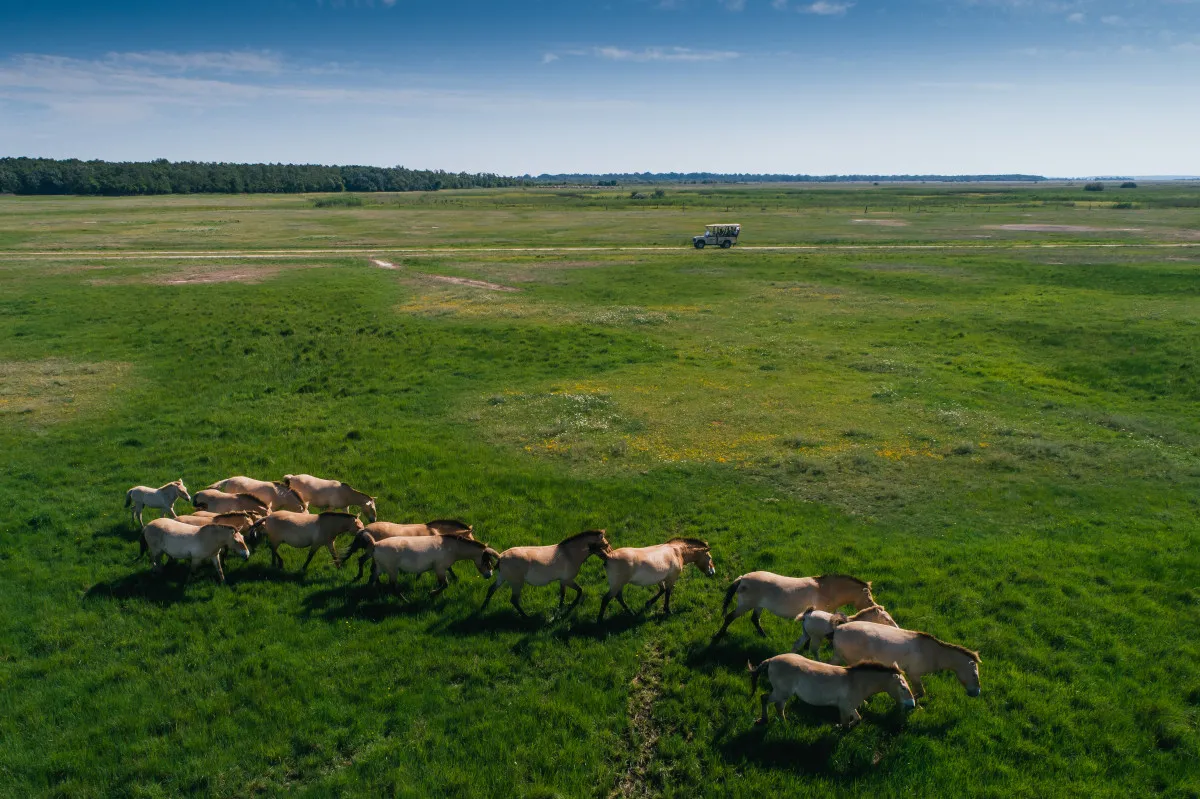 5+1 gyönyörű helyszín Magyarországon, ahol külföldön érezheted magad - Fotó: Hortobágyi Nemzeti Park Igazgatósága, Hortobágyi Vadaspark