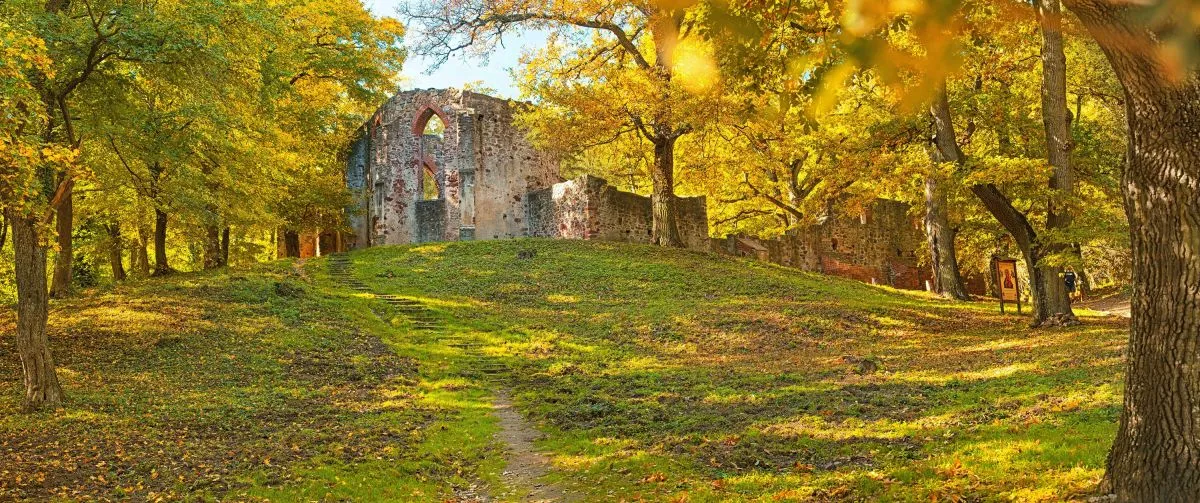 5+1 gyönyörű helyszín Magyarországon, ahol külföldön érezheted magad - Balaton-felvidék, salföldi pálos kolostor romjai