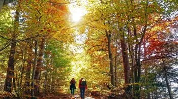 5 tündérszép tanösvény őszi kiránduláshoz