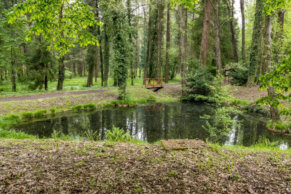 Nem mehetsz el úgy Zalaegerszegről, hogy ezt a 10 helyet nem nézted meg! - Csácsbozsoki Arborétum