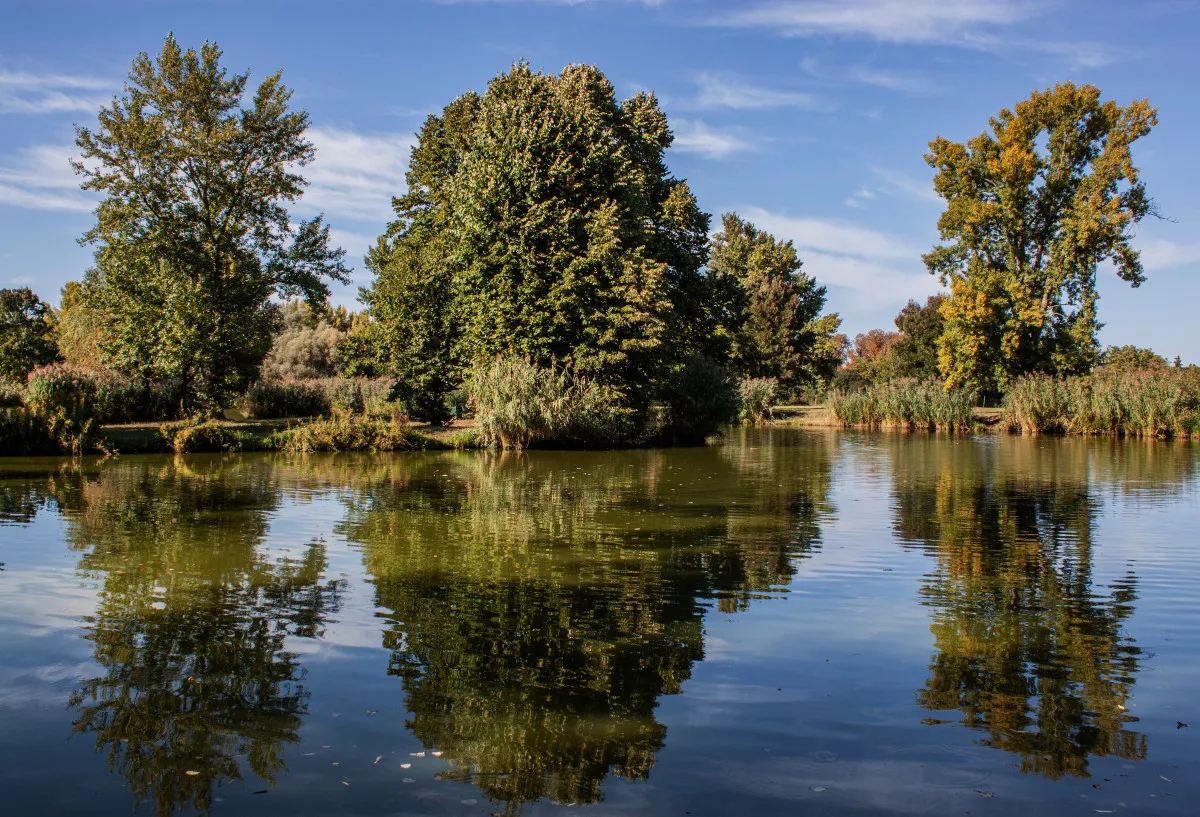 TOP 5 magyar fürdőváros és mesés látnivalóik - Sárvári Arborétum