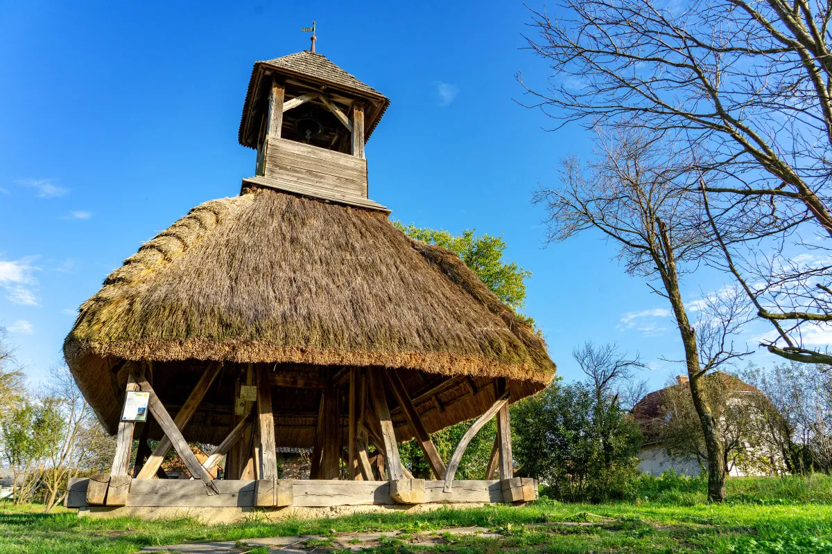 10 kirándulástipp a következő meseszép kiruccanásaidhoz - pankaszi harangláb, Őrségi Nemzeti Park