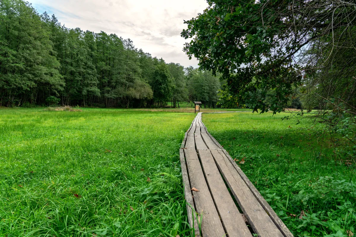 10 kirándulástipp a következő meseszép kiruccanásaidhoz - Őrségi Nemzeti Park