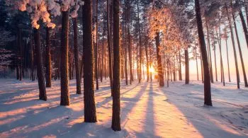 Téli bakancslista - szuper programtippek a hideg téli napokra