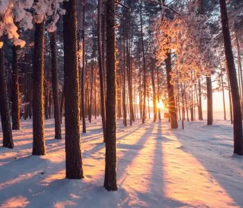 Téli bakancslista - szuper programtippek a hideg téli napokra