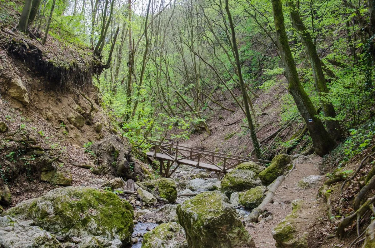 10 völgy patakparti tavaszi kirándulásokhoz - Dera-szurdok