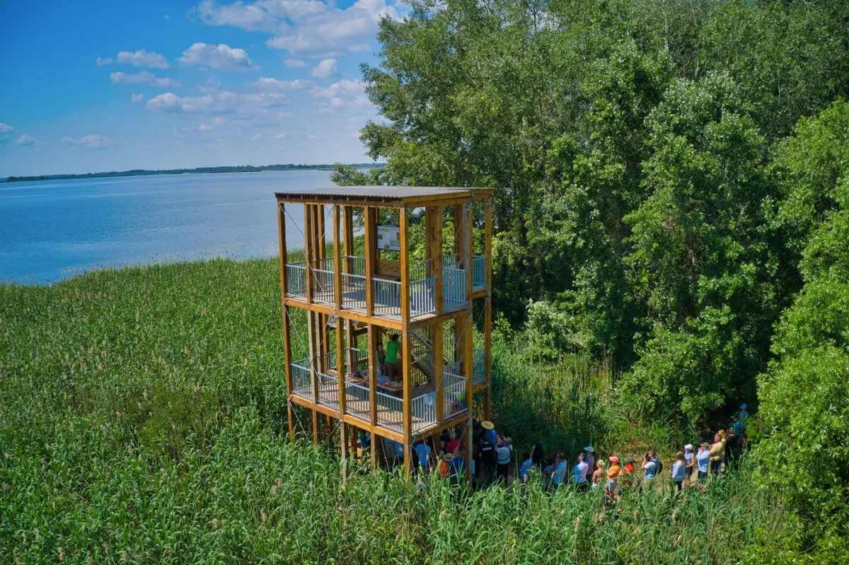 Különleges kilátó a Tisza-tónál - Fattyúszerkő-kilátó / Fotó: Aktív Magyarország Facebook oldala