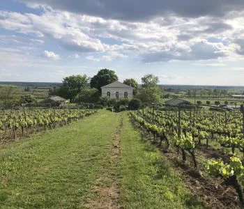 Bemutatjuk Tokaj-Hegyalja legrangosabb éttermeit