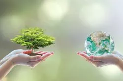 Megmutatjuk, hol találsz zöld szállodát!