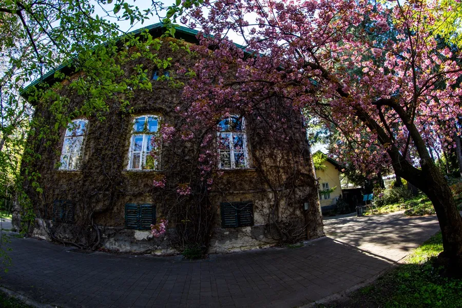 Fotó: Demeter Károly