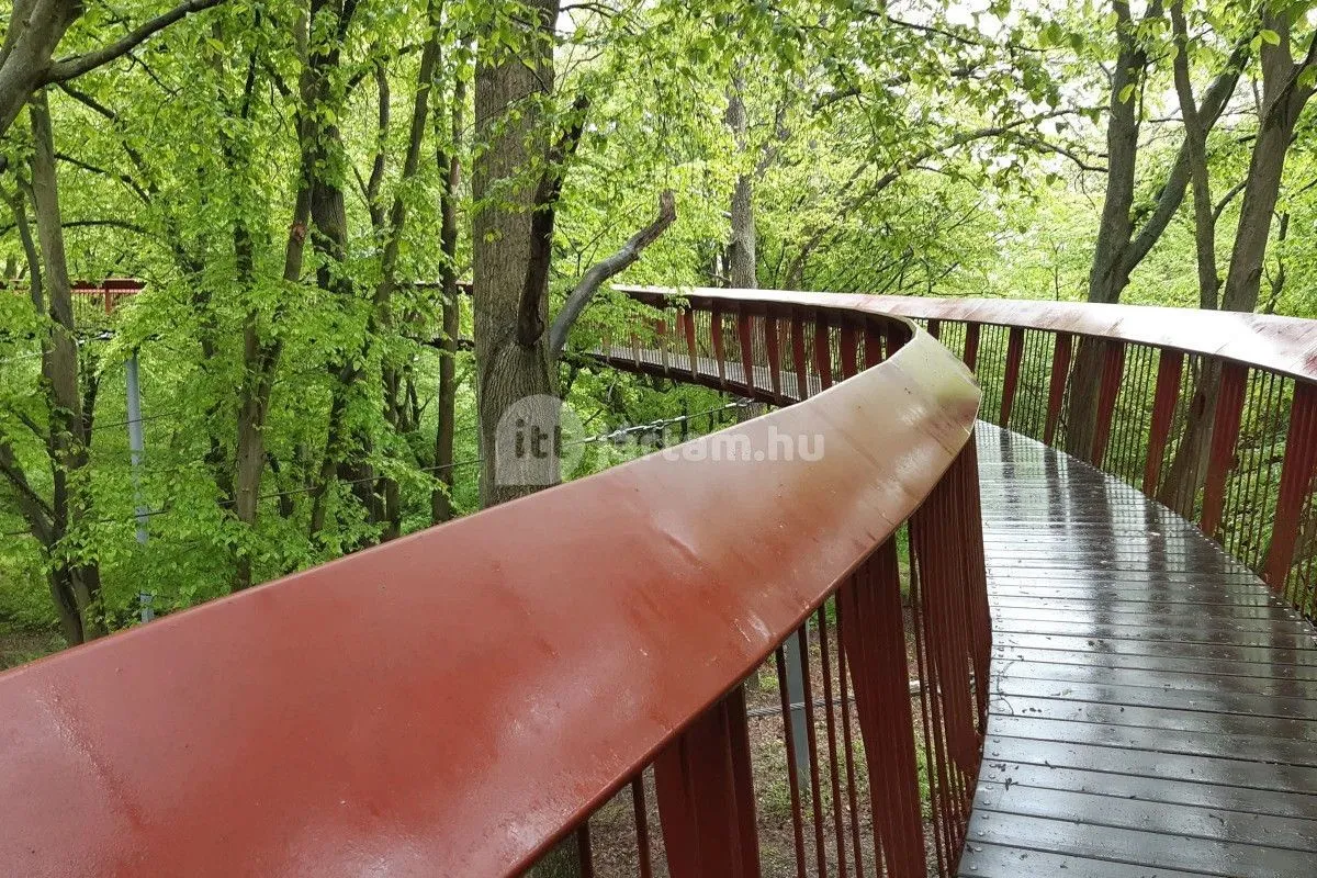 Hűsölj a fák között - Tardosi lombkorona tanösvény 