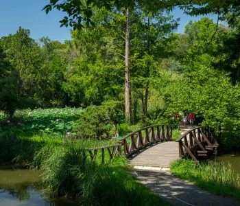 Virágzó csodák, mesés parkok: Magyarország lenyűgöző arborétuma