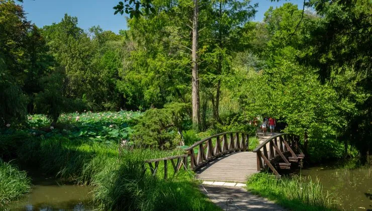 Virágzó csodák, mesés parkok: Magyarország lenyűgöző arborétuma