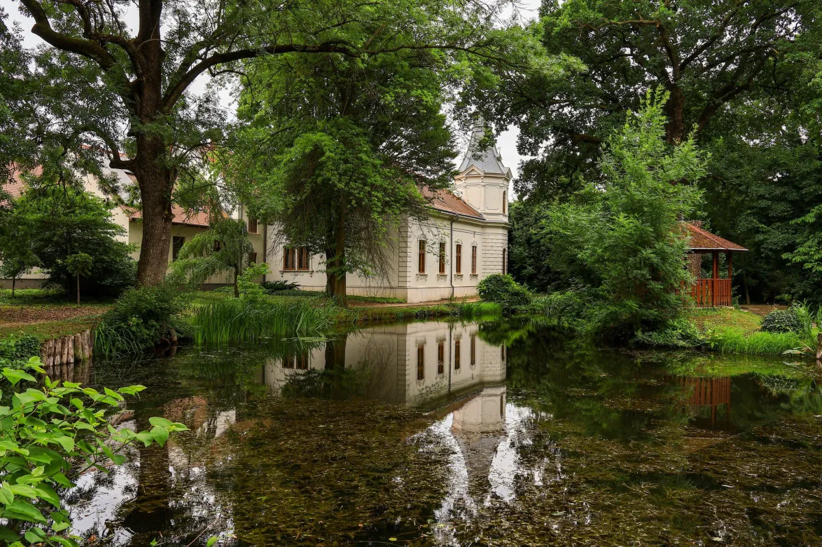 Fotó: Kámoni Arborétum, SOE ERTI, Szombathely