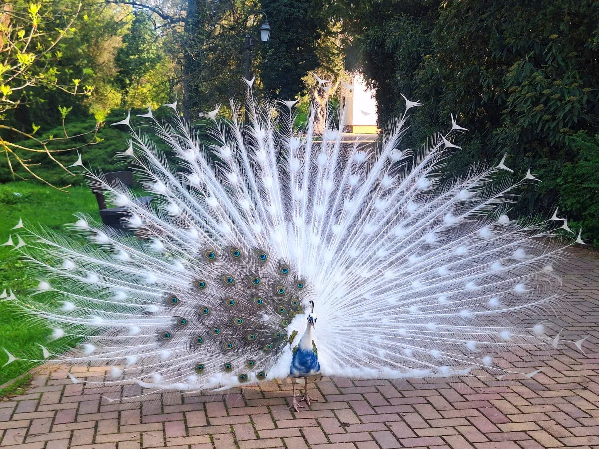 Fotó: Szarvasi Arborétum Facebook oldala