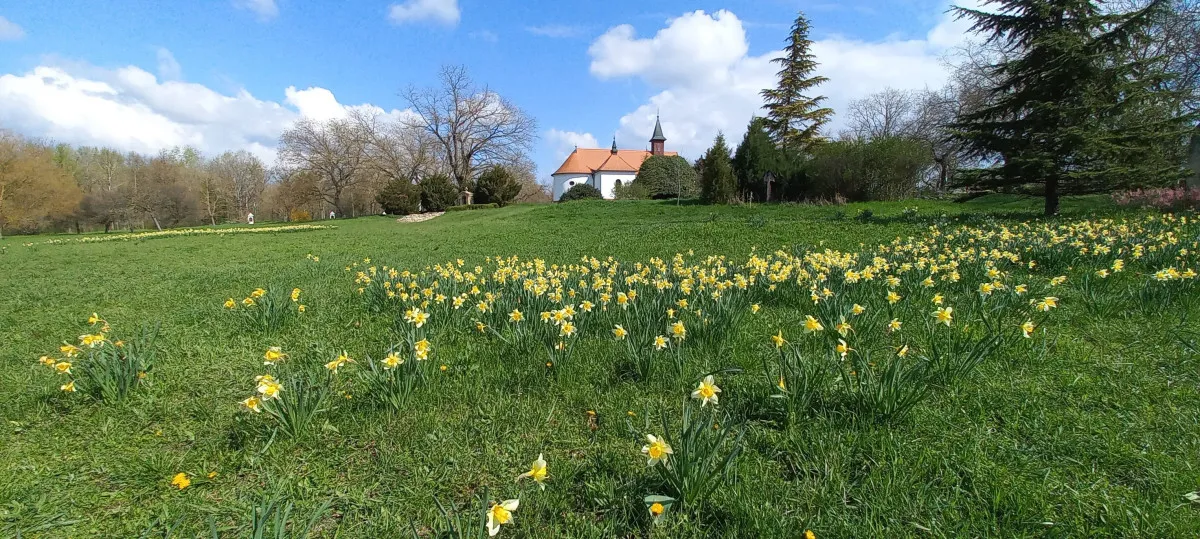 Fotó: Kecskeméti Arborétum - KEFAG Zrt. Facebook oldala
