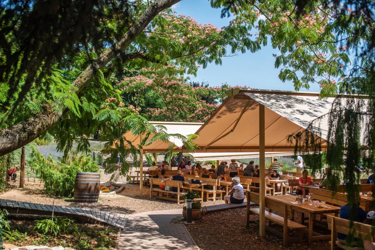 10 izgalmas borbár a Balatonon / Fotó: Folly Arborétum és Borászat Facebook oldala