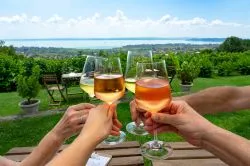 Ahol a bor és a panoráma találkozik – 10 izgalmas borbár a Balatonon