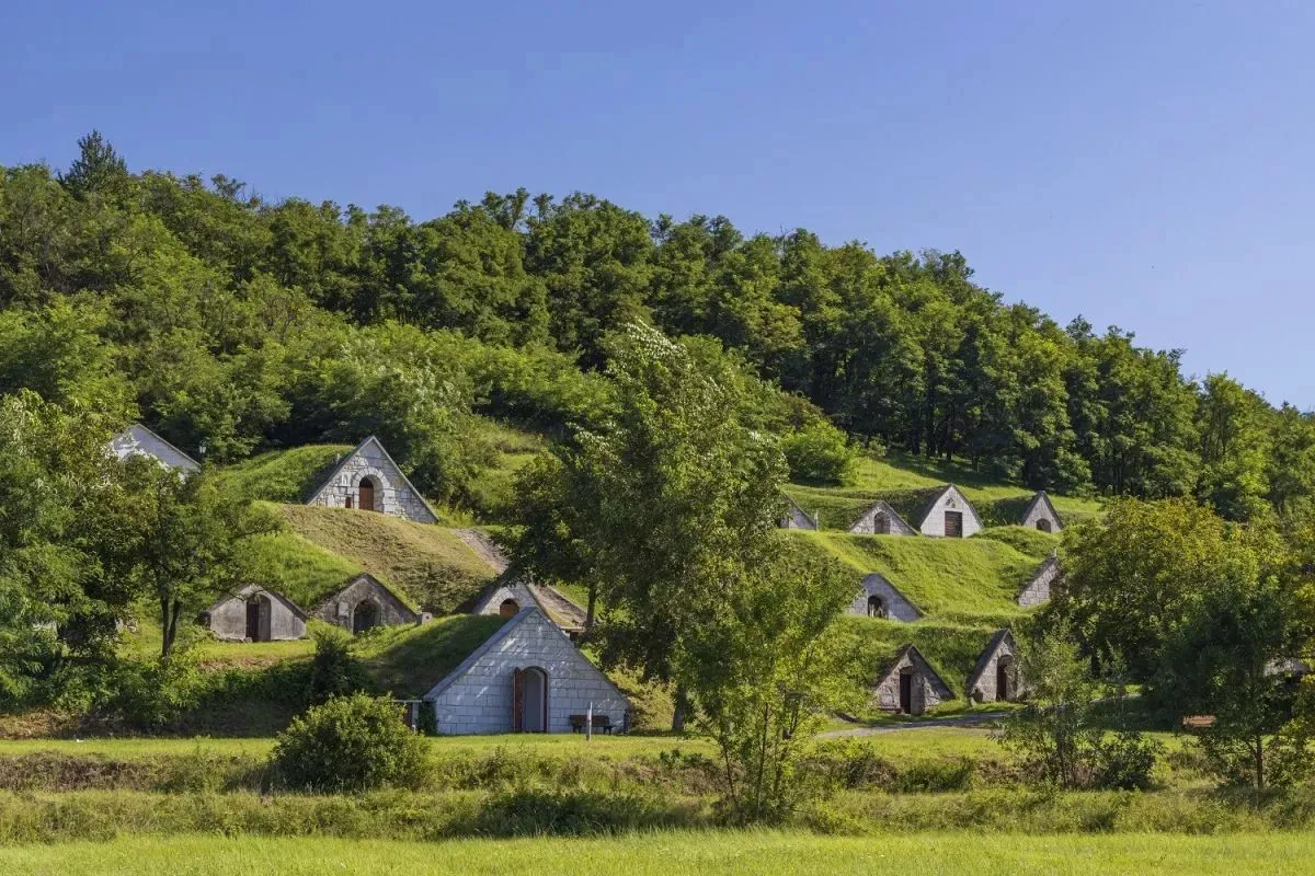Tokaj-Hegyalja egyik jelképe a Gombos-hegyi pincesor