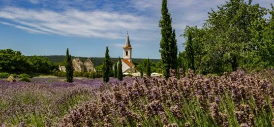 Csoda minden kanyarban: 10 festői falvacska a Balaton északi partján