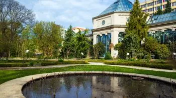 Trópusi pálmadzsungelek és tündéri zuhatagok: 8 mesés magyar arborétum