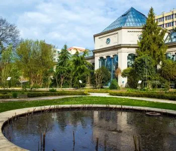 Trópusi pálmadzsungelek és tündéri zuhatagok: 8 mesés magyar arborétum