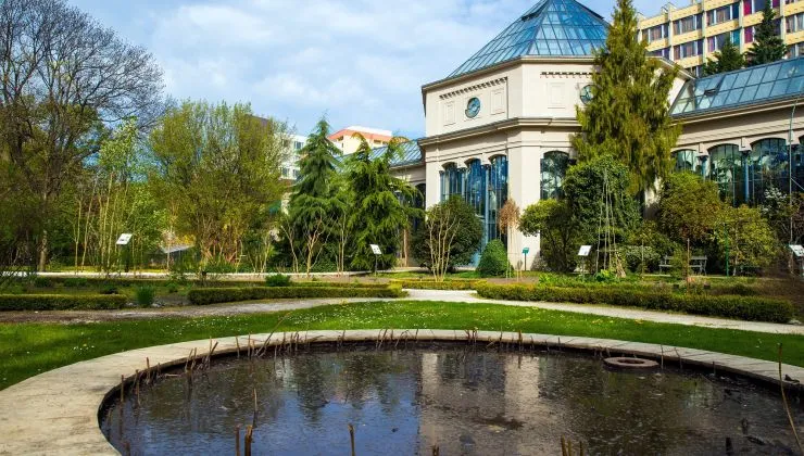 Trópusi pálmadzsungelek és tündéri zuhatagok: 8 mesés magyar arborétum