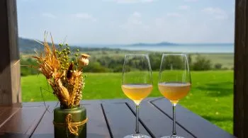 Nyáresti koccintások varázslatos balatoni borteraszokon