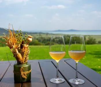 Nyáresti koccintások varázslatos balatoni borteraszokon