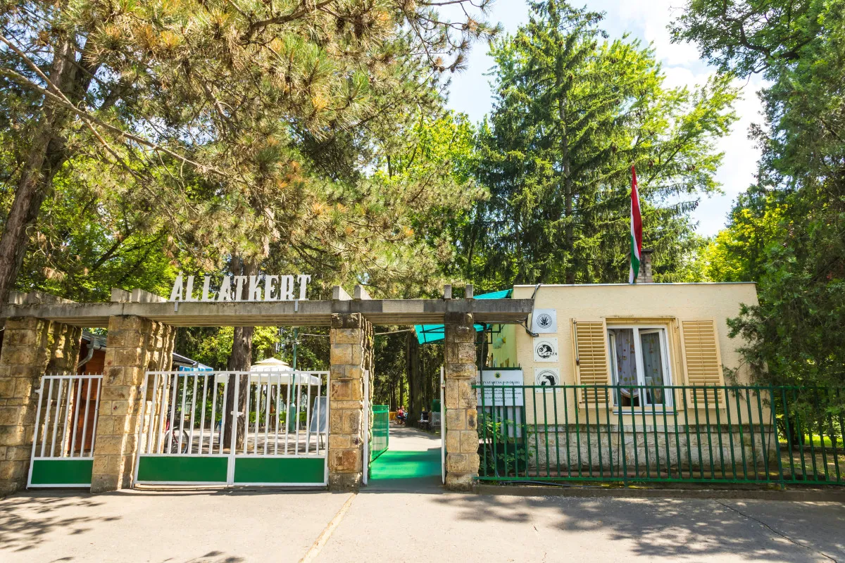Programok, látnivalók Debrecenben - Állatkert és Vidámpark