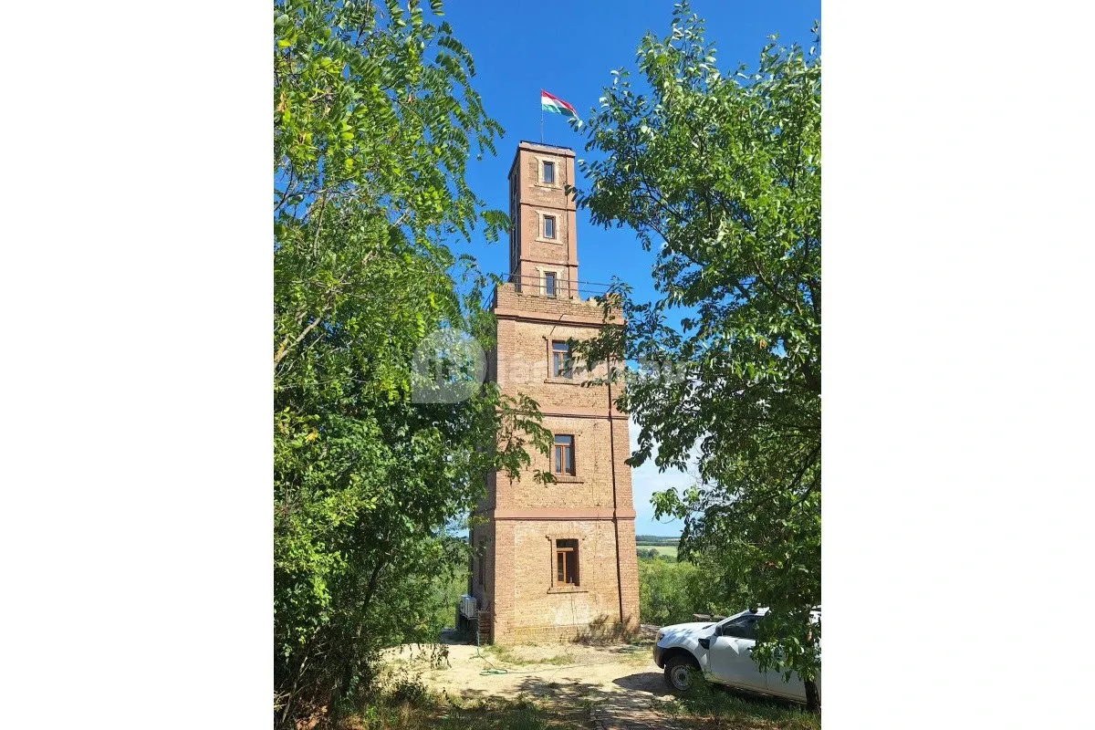 Tatai vöröstéglás söréttorony kilátó magyar zászlóval