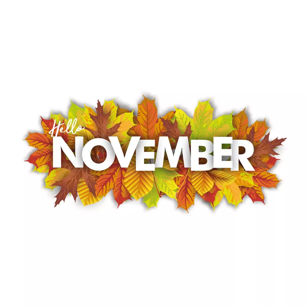 hello-november.webp