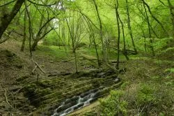 Tündérlépcsős mesefalu a Kelet-Mecsekben: mesés látnivalók Óbányán és környékén