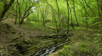 Tündérlépcsős mesefalu a Kelet-Mecsekben: mesés látnivalók Óbányán és környékén