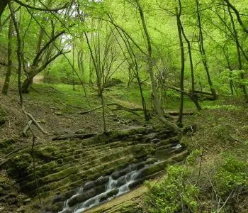 Tündérlépcsős mesefalu a Kelet-Mecsekben: mesés látnivalók Óbányán és környékén